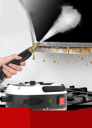 Multi‑Purpose High‑Temp Steam Cleaner for Home & Auto (110V/220V)