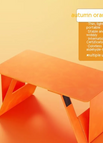 Orange Standard Model